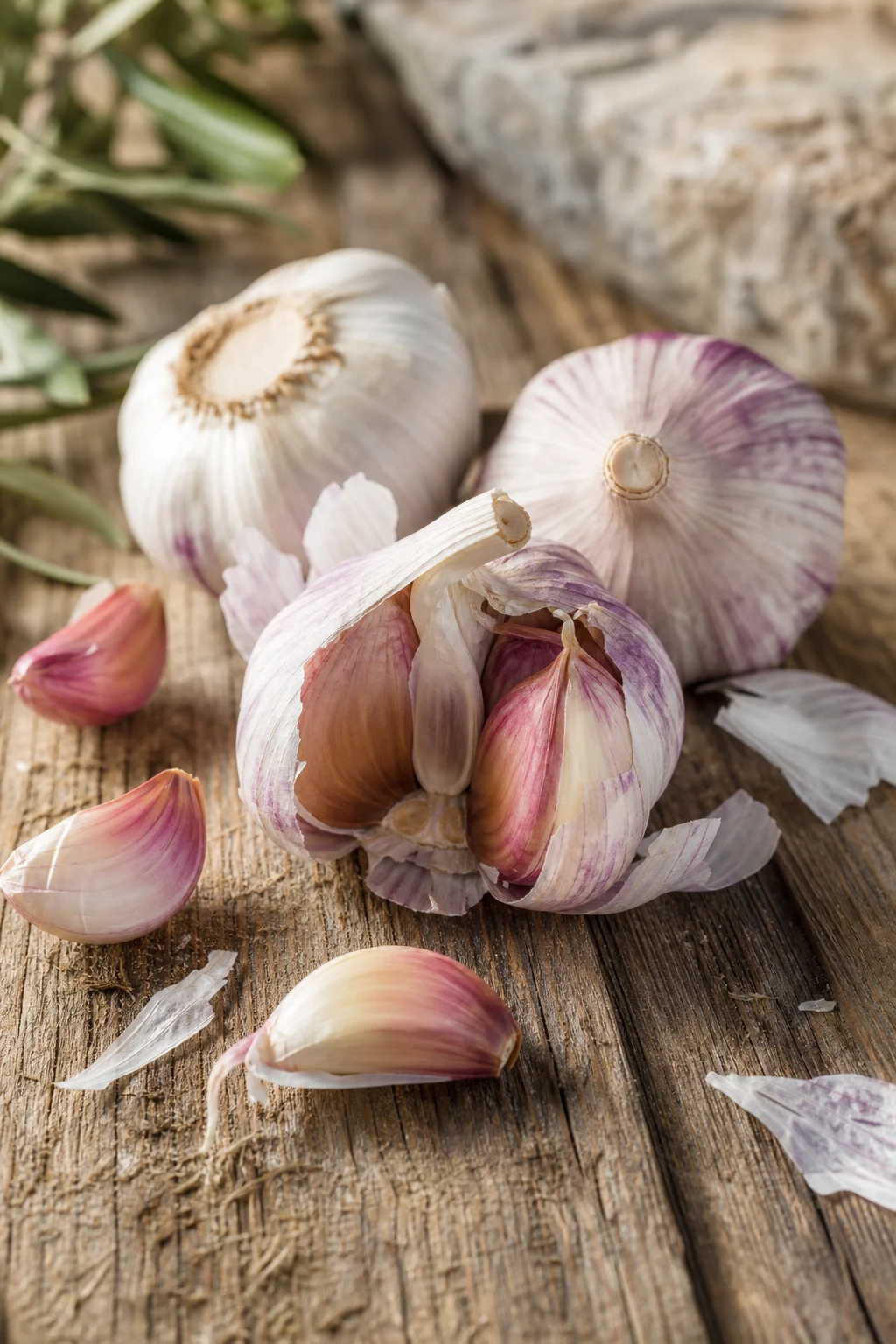 Knoblauch